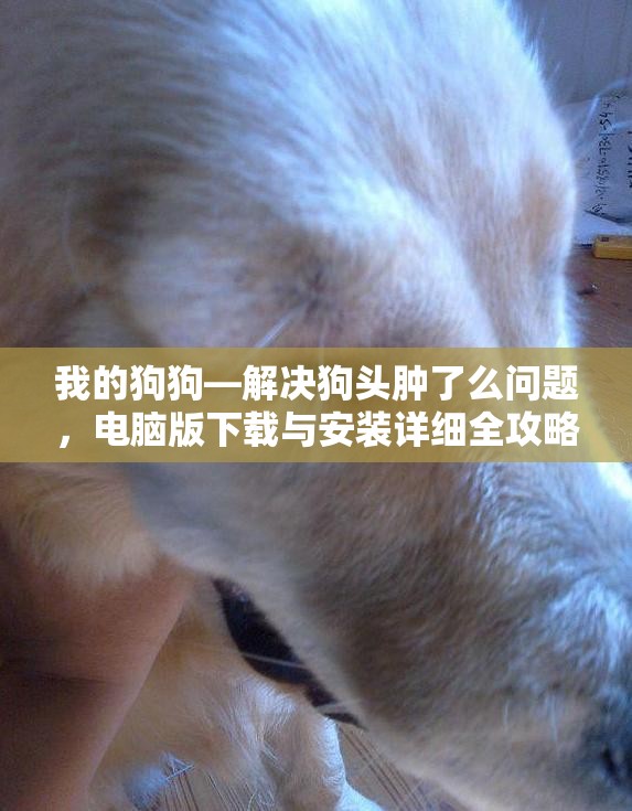 我的狗狗—解决狗头肿了么问题，电脑版下载与安装详细全攻略