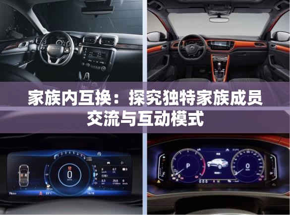 家族内互换：探究独特家族成员交流与互动模式