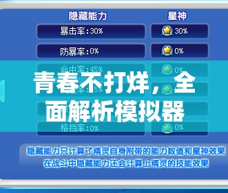 青春不打烊，全面解析模拟器安装与配置实用全攻略