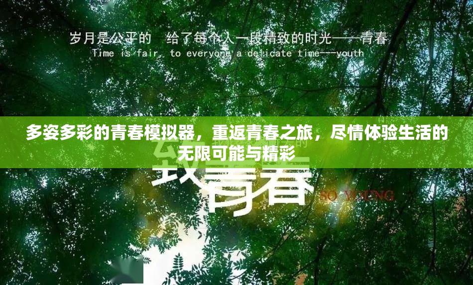 多姿多彩的青春模拟器，重返青春之旅，尽情体验生活的无限可能与精彩