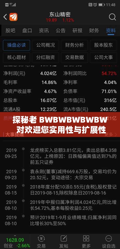 探秘老 BWBWBWBWBW 对欢迎您实用性与扩展性：深度剖析其价值所在