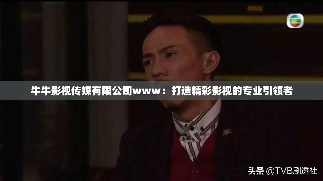 牛牛影视传媒有限公司www：打造精彩影视的专业引领者