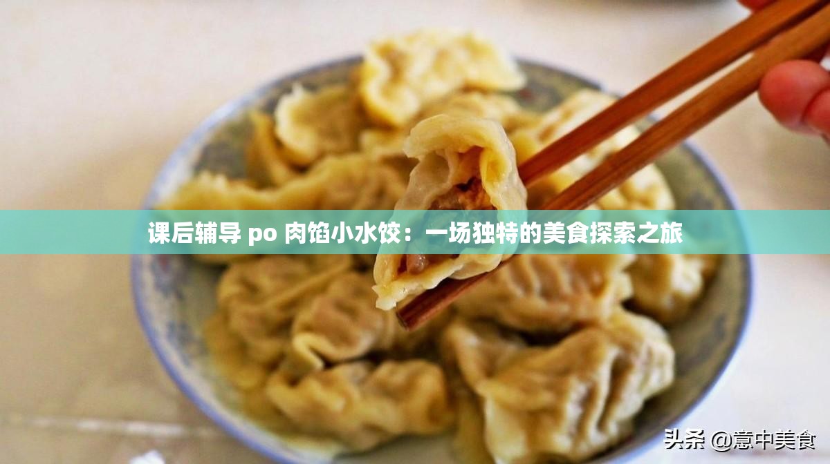 课后辅导 po 肉馅小水饺：一场独特的美食探索之旅