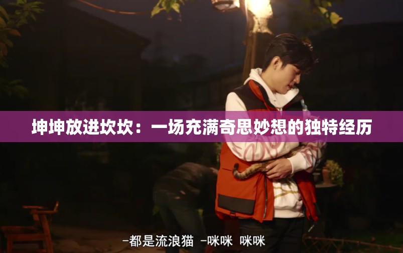 坤坤放进坎坎：一场充满奇思妙想的独特经历