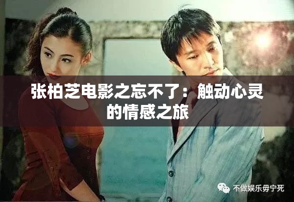 张柏芝电影之忘不了：触动心灵的情感之旅