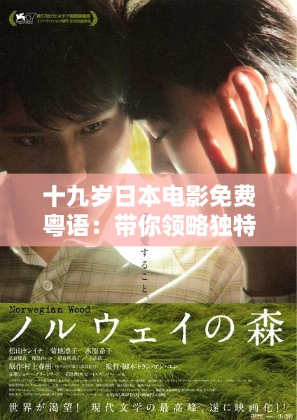 十九岁日本电影免费粤语：带你领略独特的青春影像之旅