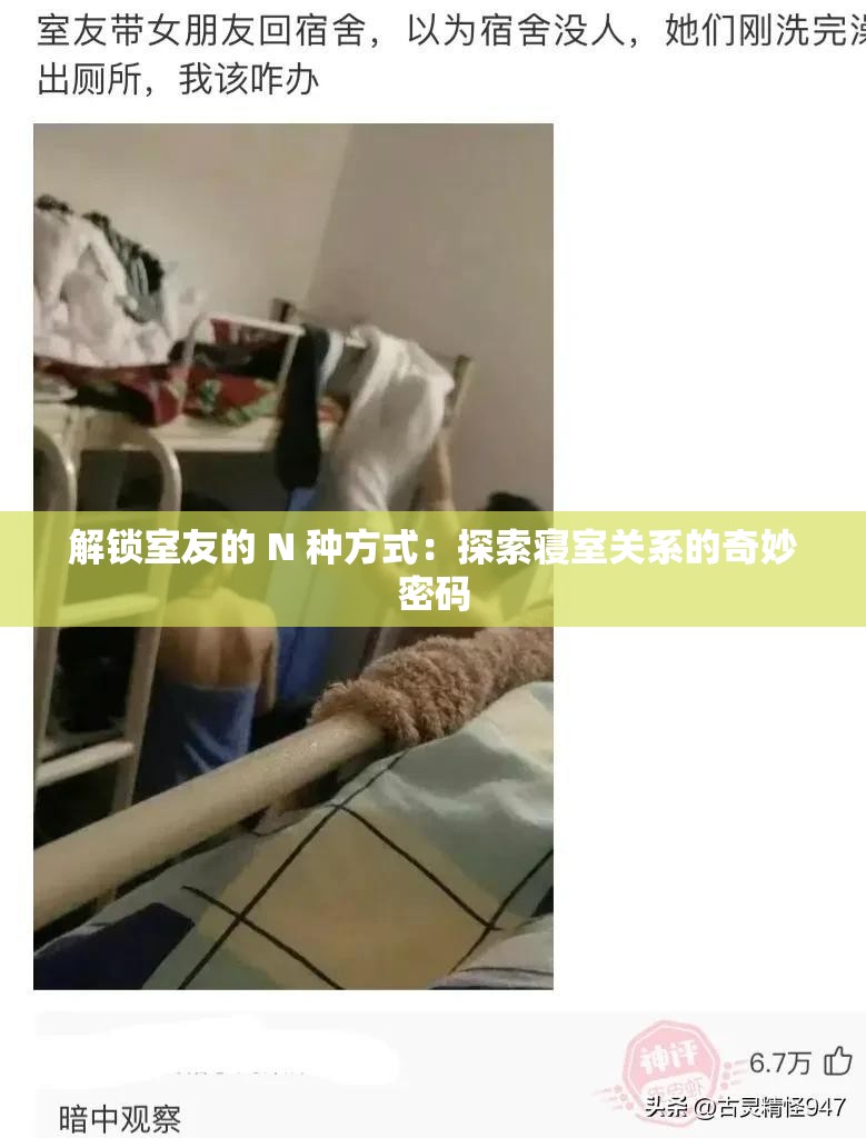 解锁室友的 N 种方式：探索寝室关系的奇妙密码