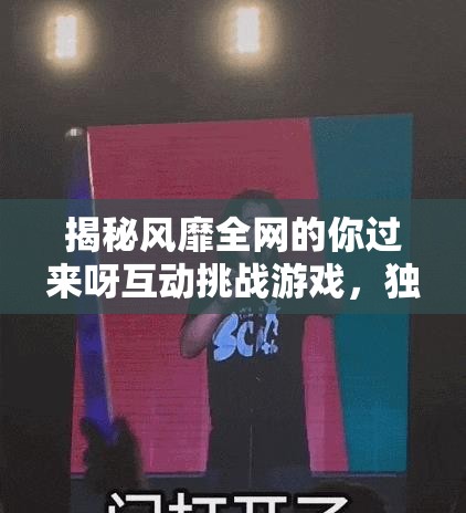 揭秘风靡全网的你过来呀互动挑战游戏，独特魅力何在，竟能吸引无数玩家参与