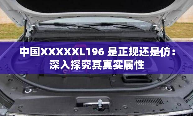 中国XXXXXL196 是正规还是仿：深入探究其真实属性