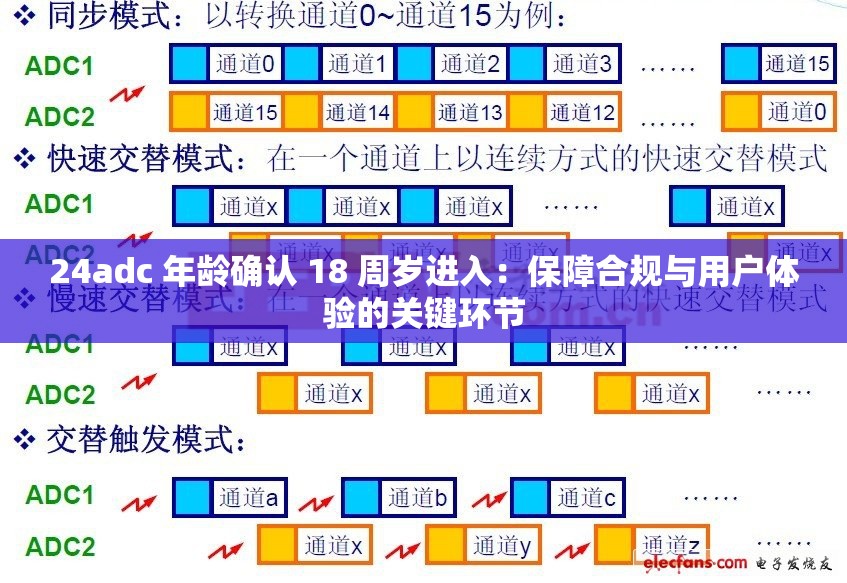 24adc 年龄确认 18 周岁进入：保障合规与用户体验的关键环节