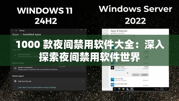 1000 款夜间禁用软件大全：深入探索夜间禁用软件世界