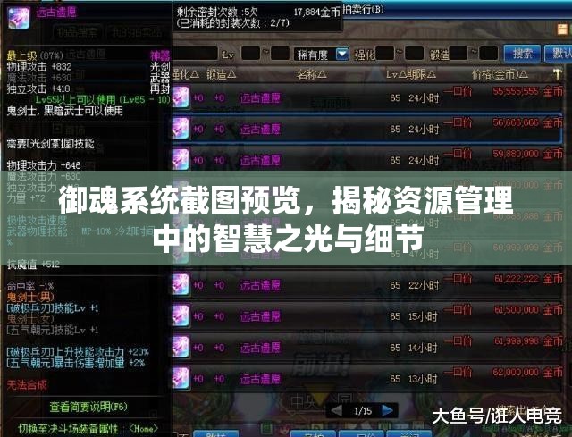 御魂系统截图预览，揭秘资源管理中的智慧之光与细节