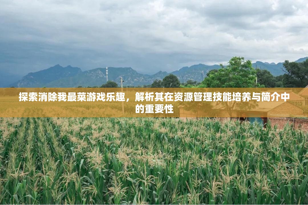探索消除我最菜游戏乐趣，解析其在资源管理技能培养与简介中的重要性