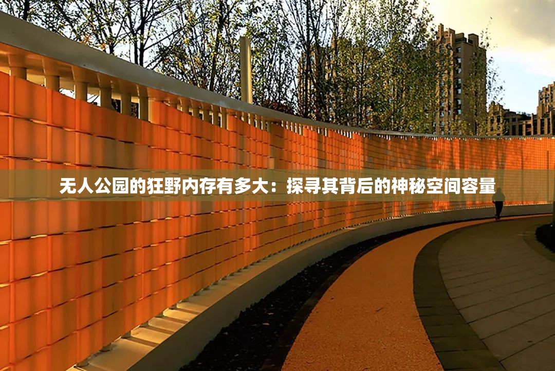 无人公园的狂野内存有多大：探寻其背后的神秘空间容量