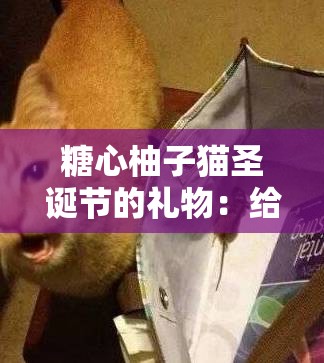 糖心柚子猫圣诞节的礼物：给你带来温馨与惊喜