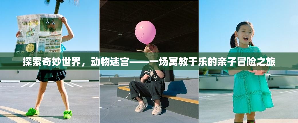 探索奇妙世界，动物迷宫——一场寓教于乐的亲子冒险之旅