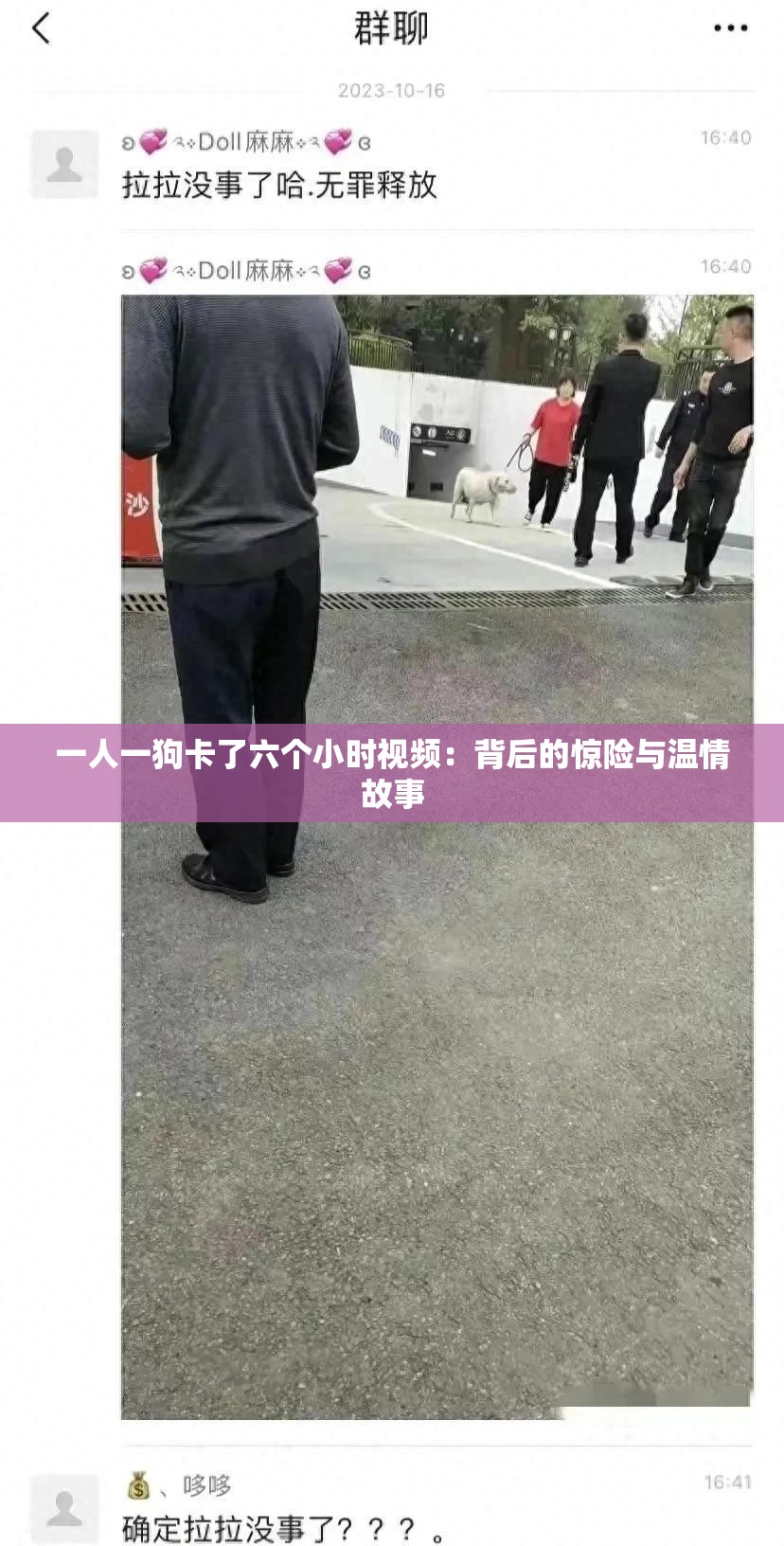 一人一狗卡了六个小时视频：背后的惊险与温情故事
