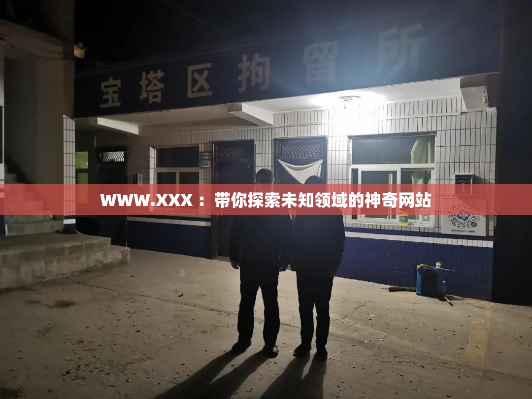 WWW.XXX ：带你探索未知领域的神奇网站
