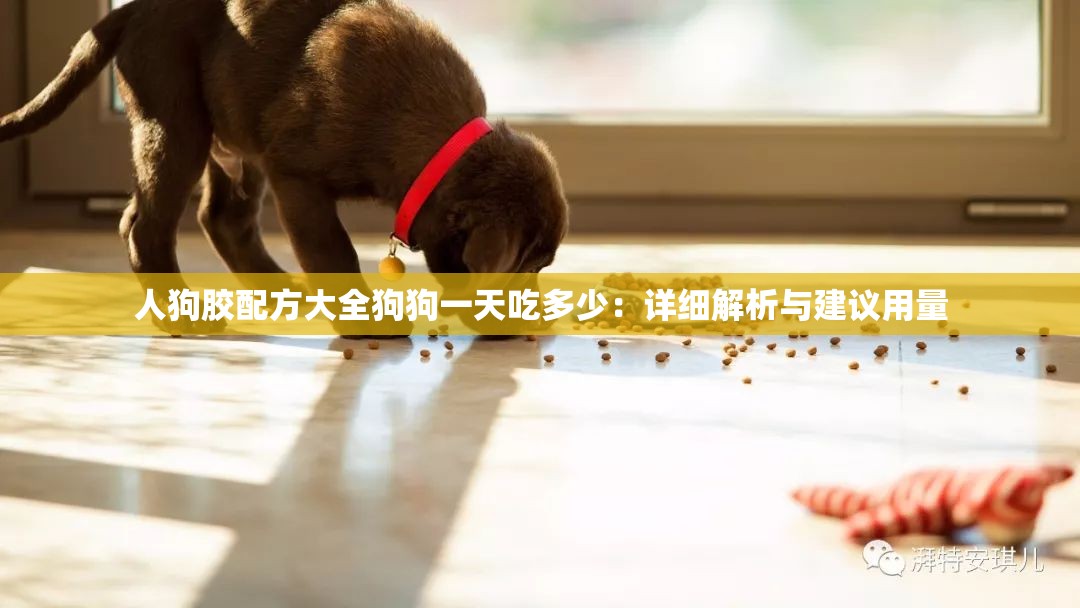 人狗胶配方大全狗狗一天吃多少：详细解析与建议用量