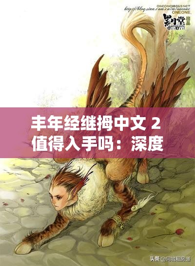 丰年经继拇中文 2 值得入手吗：深度剖析其优劣与价值所在
