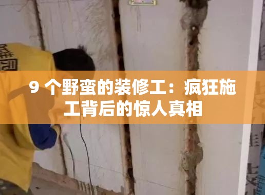 9 个野蛮的装修工：疯狂施工背后的惊人真相