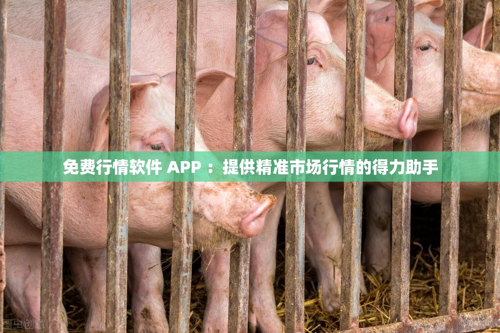 免费行情软件 APP ：提供精准市场行情的得力助手