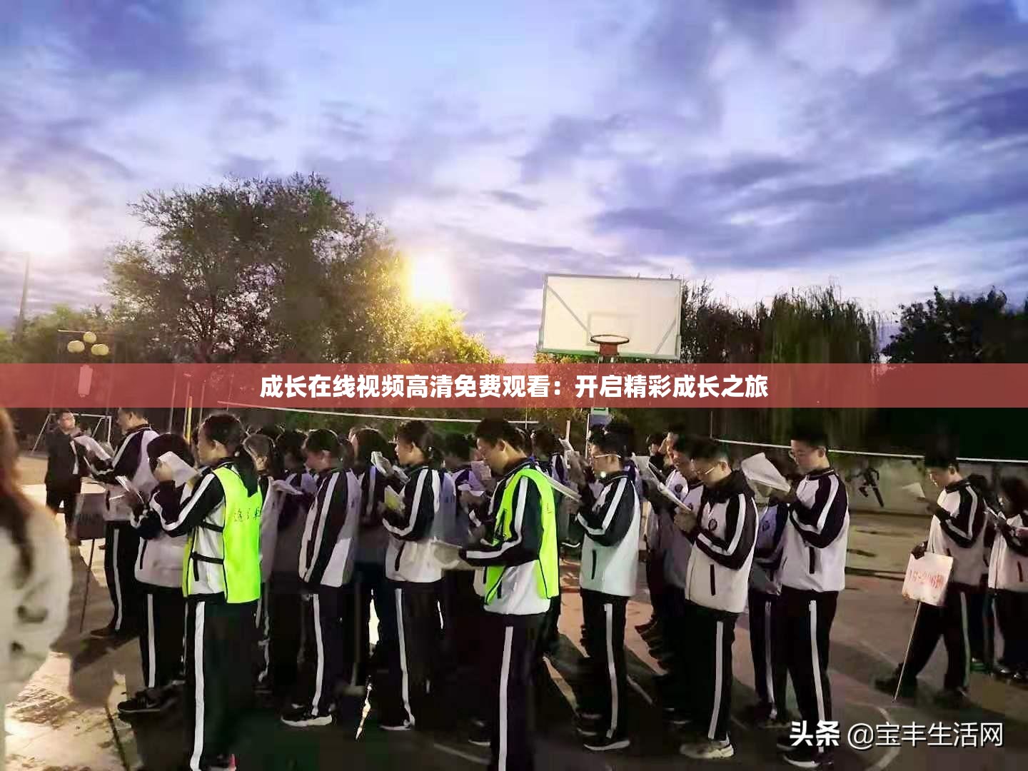 成长在线视频高清免费观看：开启精彩成长之旅