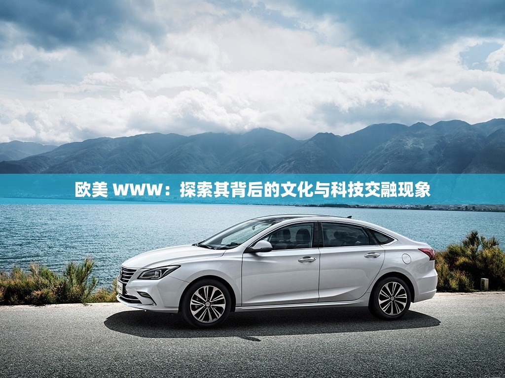 欧美 WWW：探索其背后的文化与科技交融现象