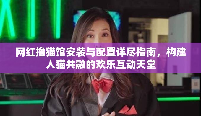 网红撸猫馆安装与配置详尽指南，构建人猫共融的欢乐互动天堂