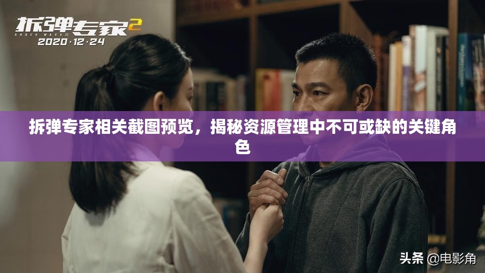 拆弹专家相关截图预览，揭秘资源管理中不可或缺的关键角色