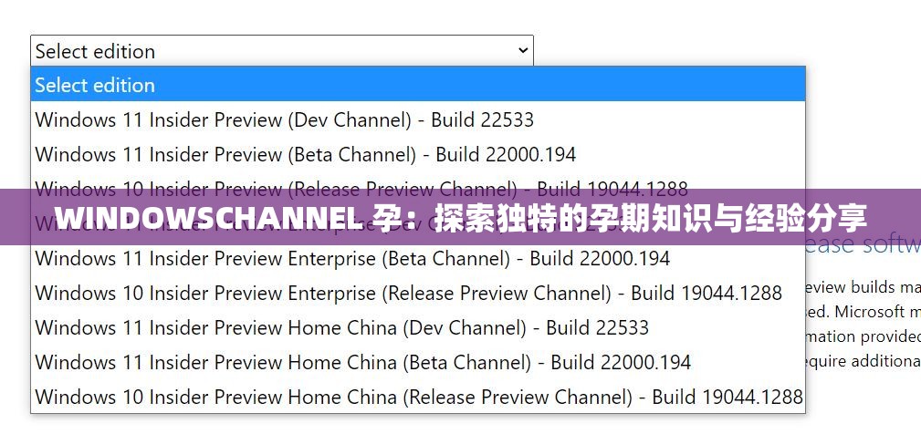 WINDOWSCHANNEL 孕：探索独特的孕期知识与经验分享