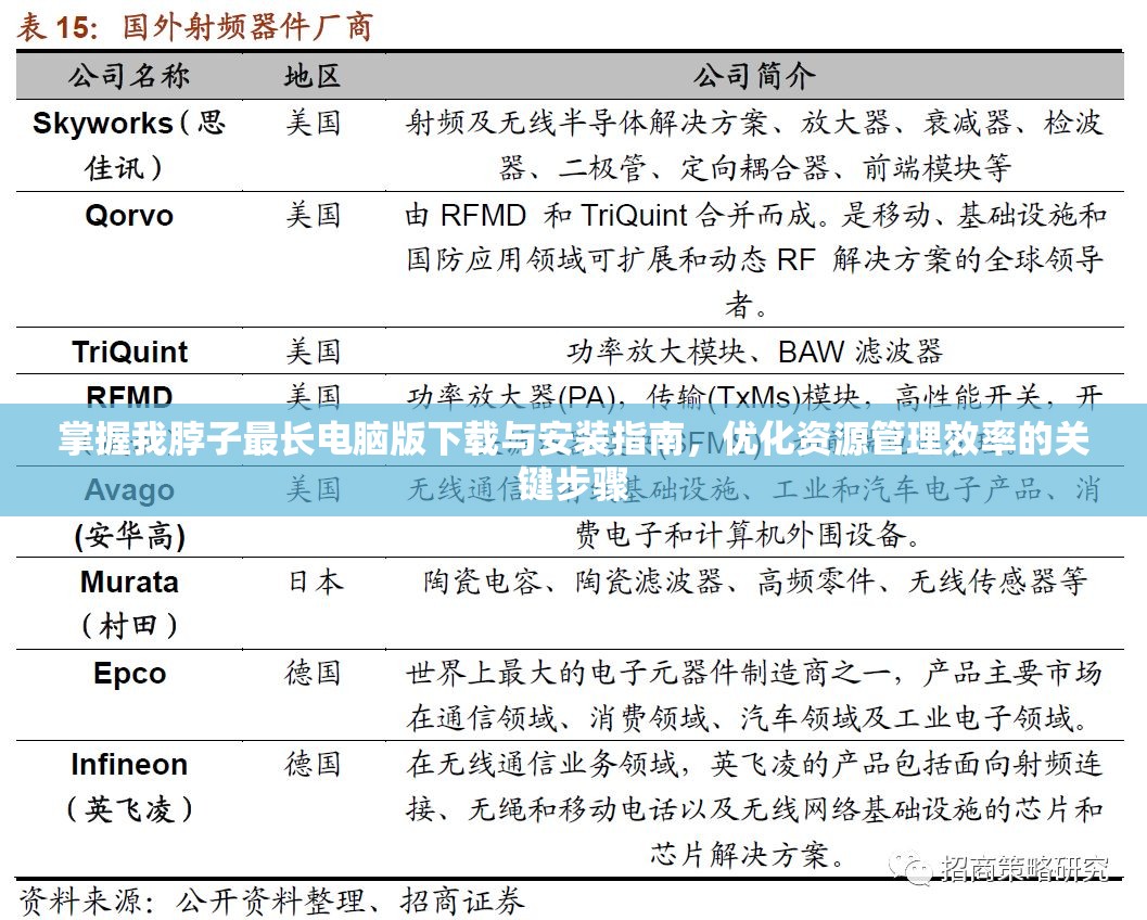掌握我脖子最长电脑版下载与安装指南，优化资源管理效率的关键步骤