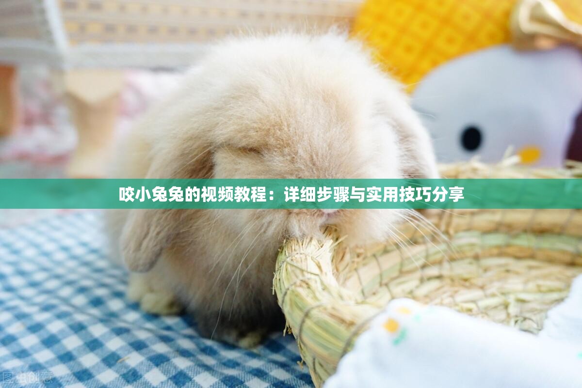 咬小兔兔的视频教程：详细步骤与实用技巧分享