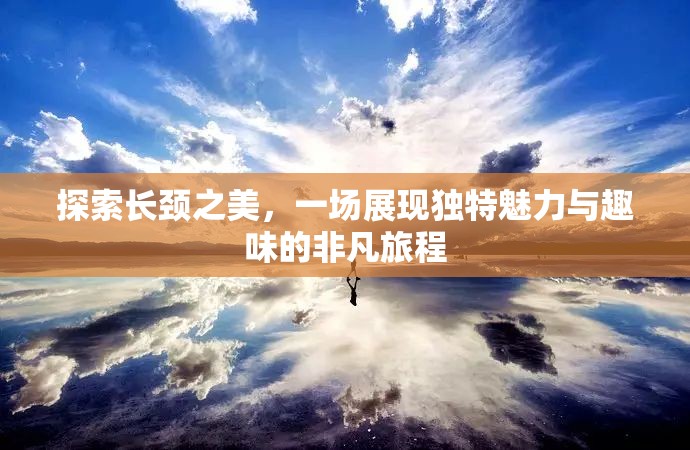 探索长颈之美，一场展现独特魅力与趣味的非凡旅程