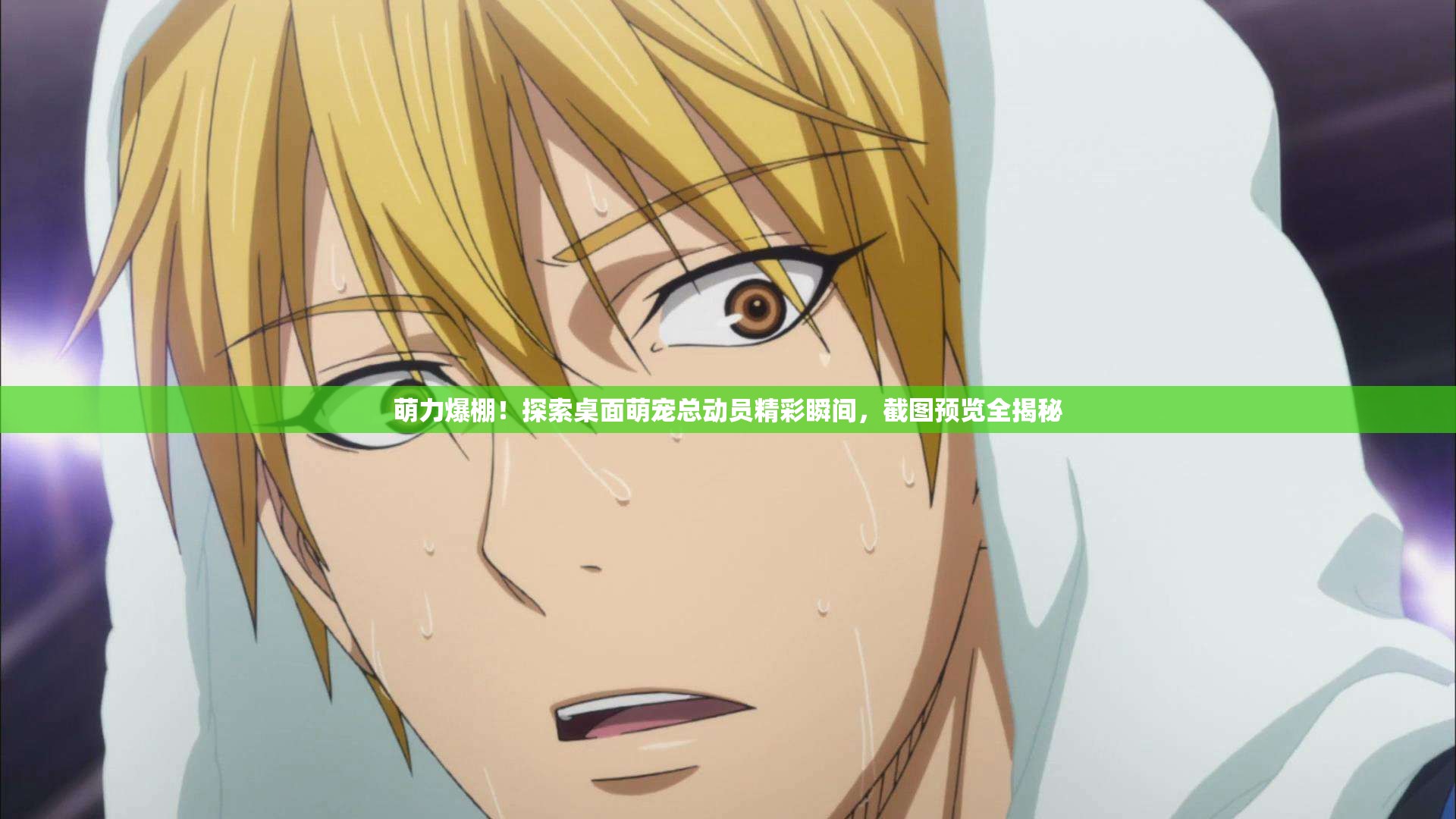 萌力爆棚！探索桌面萌宠总动员精彩瞬间，截图预览全揭秘