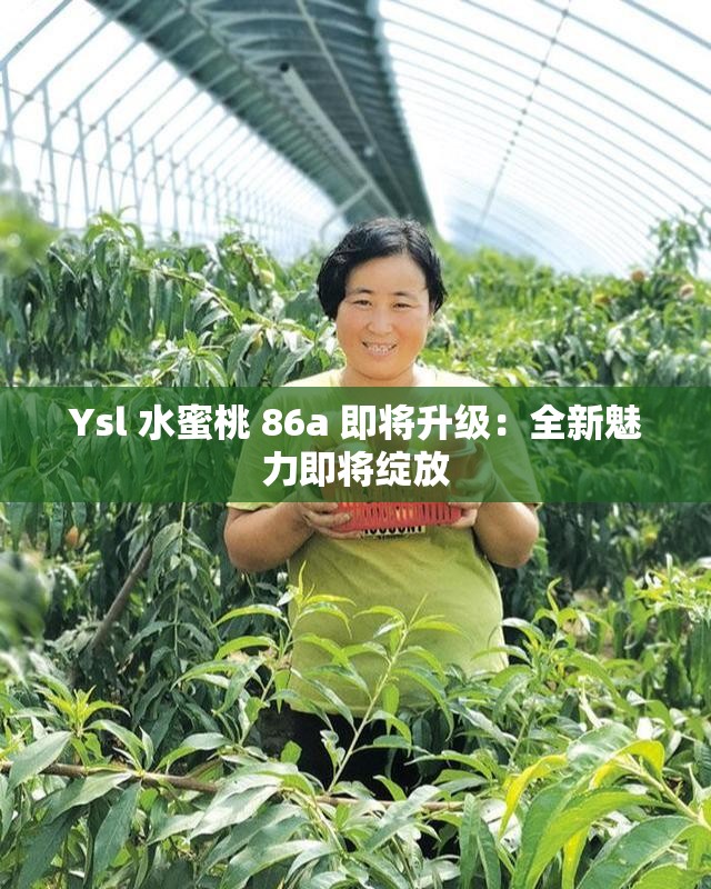 Ysl 水蜜桃 86a 即将升级：全新魅力即将绽放