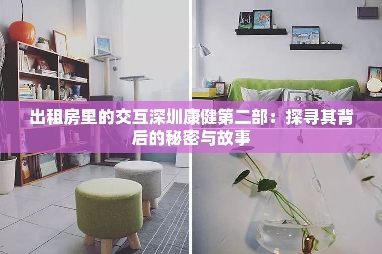 出租房里的交互深圳康健第二部：探寻其背后的秘密与故事