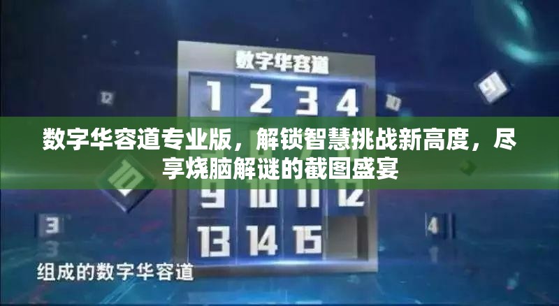 数字华容道专业版，解锁智慧挑战新高度，尽享烧脑解谜的截图盛宴