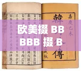 欧美掇 BBBBB 掇 BBBBB：探索其背后的深层奥秘与价值