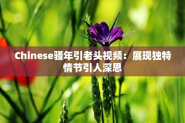 Chinese骚年引老头视频：展现独特情节引人深思