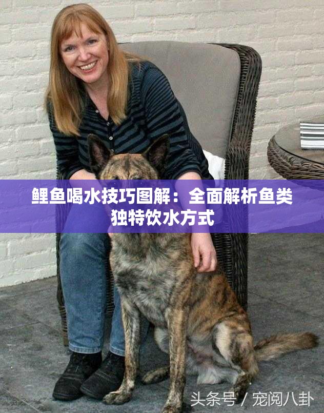 鲤鱼喝水技巧图解：全面解析鱼类独特饮水方式