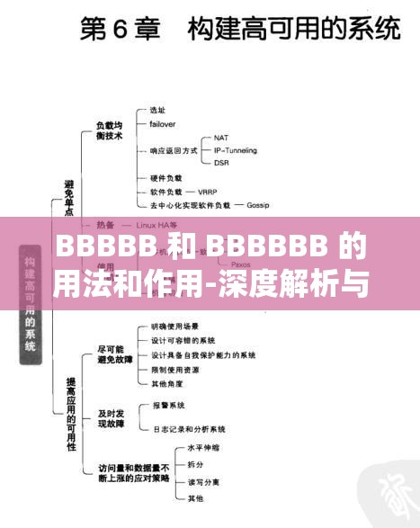 BBBBB 和 BBBBBB 的用法和作用-深度解析与应用实践指南