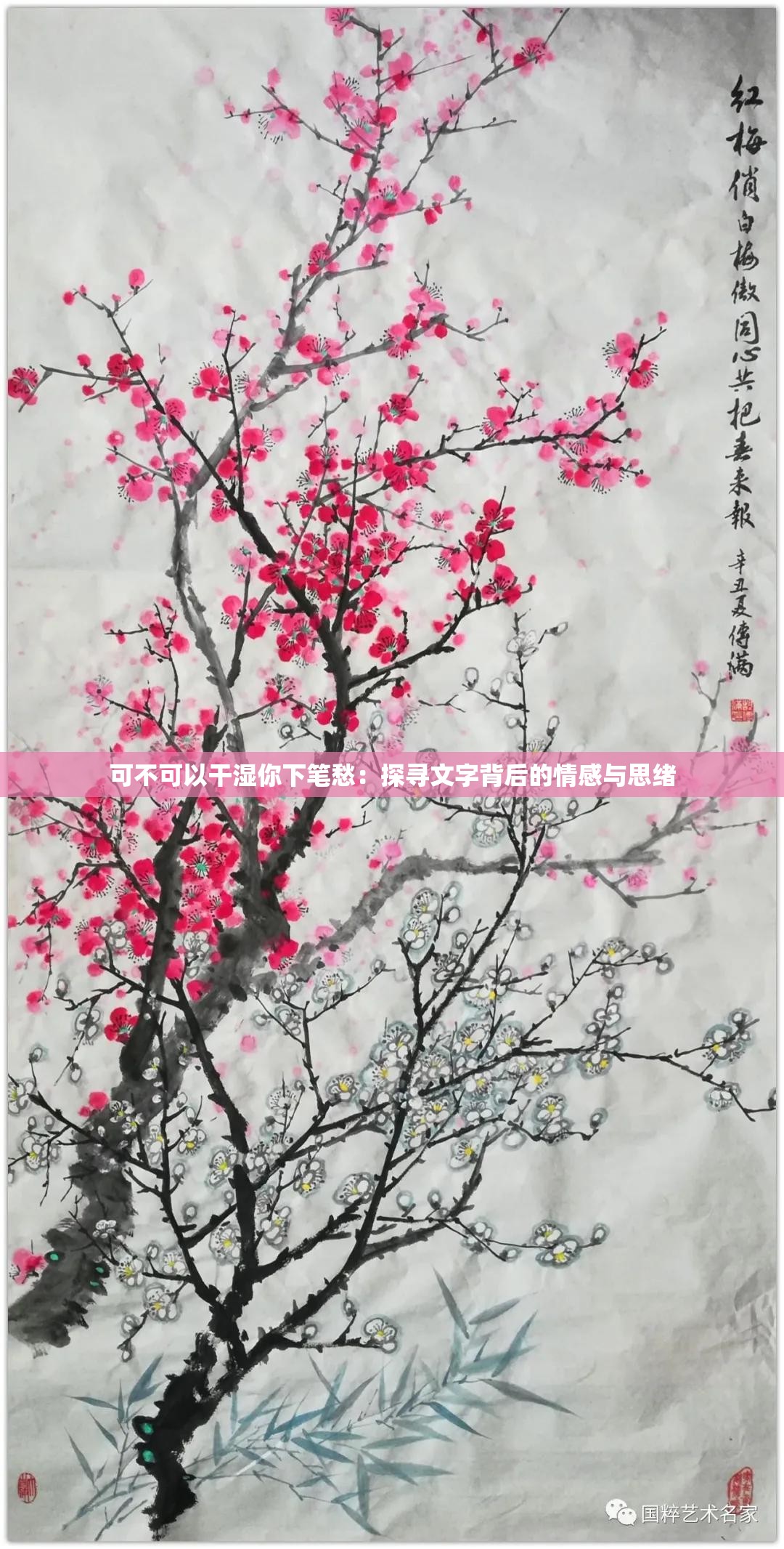 可不可以干湿你下笔愁：探寻文字背后的情感与思绪