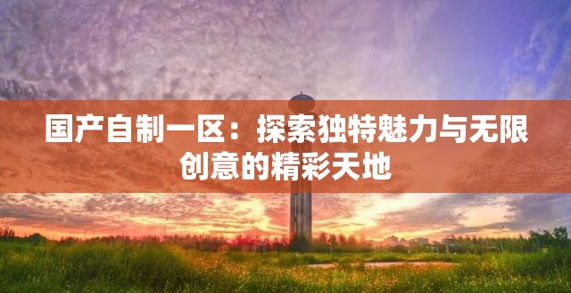 国产自制一区：探索独特魅力与无限创意的精彩天地
