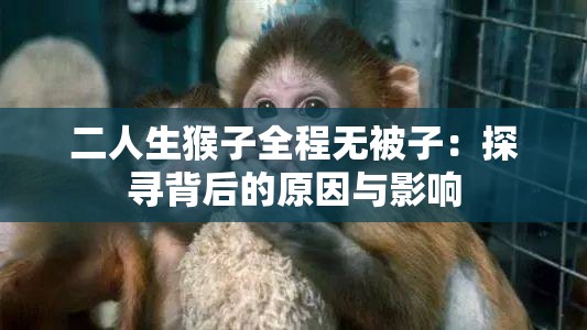 二人生猴子全程无被子：探寻背后的原因与影响