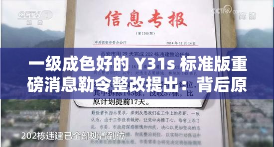 一级成色好的 Y31s 标准版重磅消息勒令整改提出：背后原因引人深思