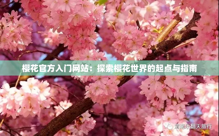 樱花官方入门网站：探索樱花世界的起点与指南