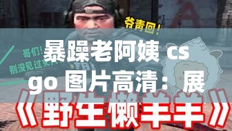 暴躁老阿姨 csgo 图片高清：展现极致游戏魅力瞬间