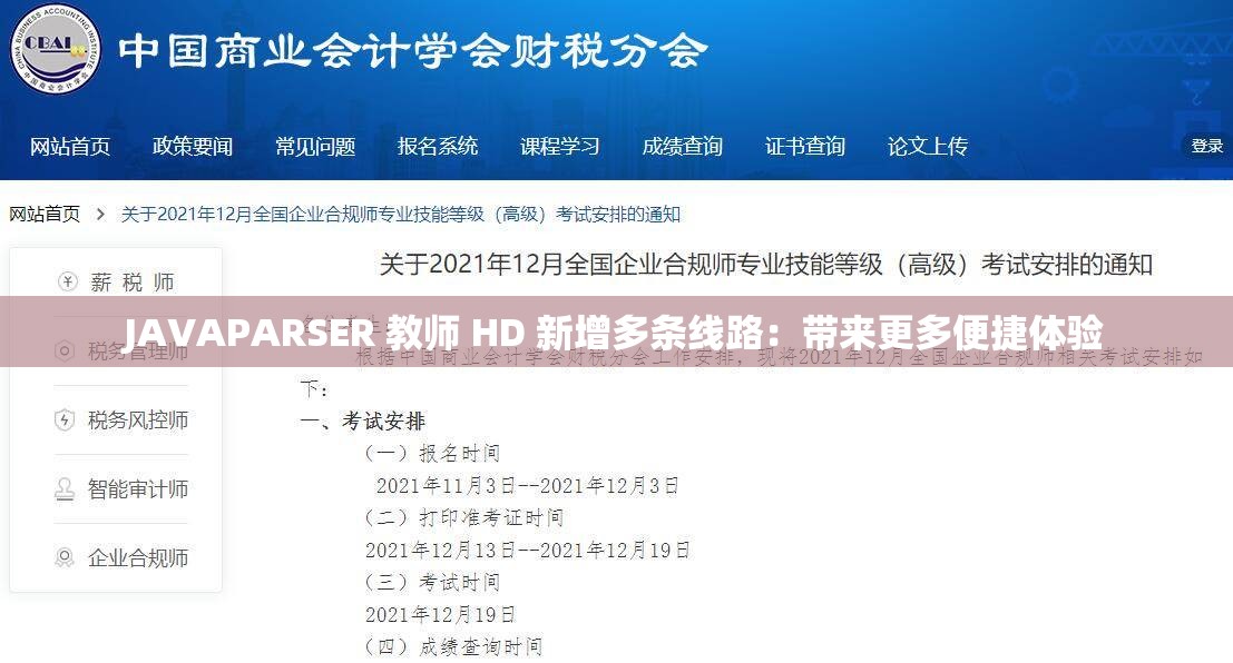 JAVAPARSER 教师 HD 新增多条线路：带来更多便捷体验
