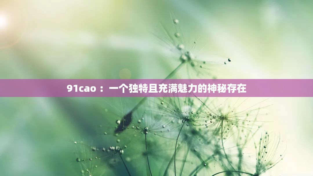 91cao ：一个独特且充满魅力的神秘存在